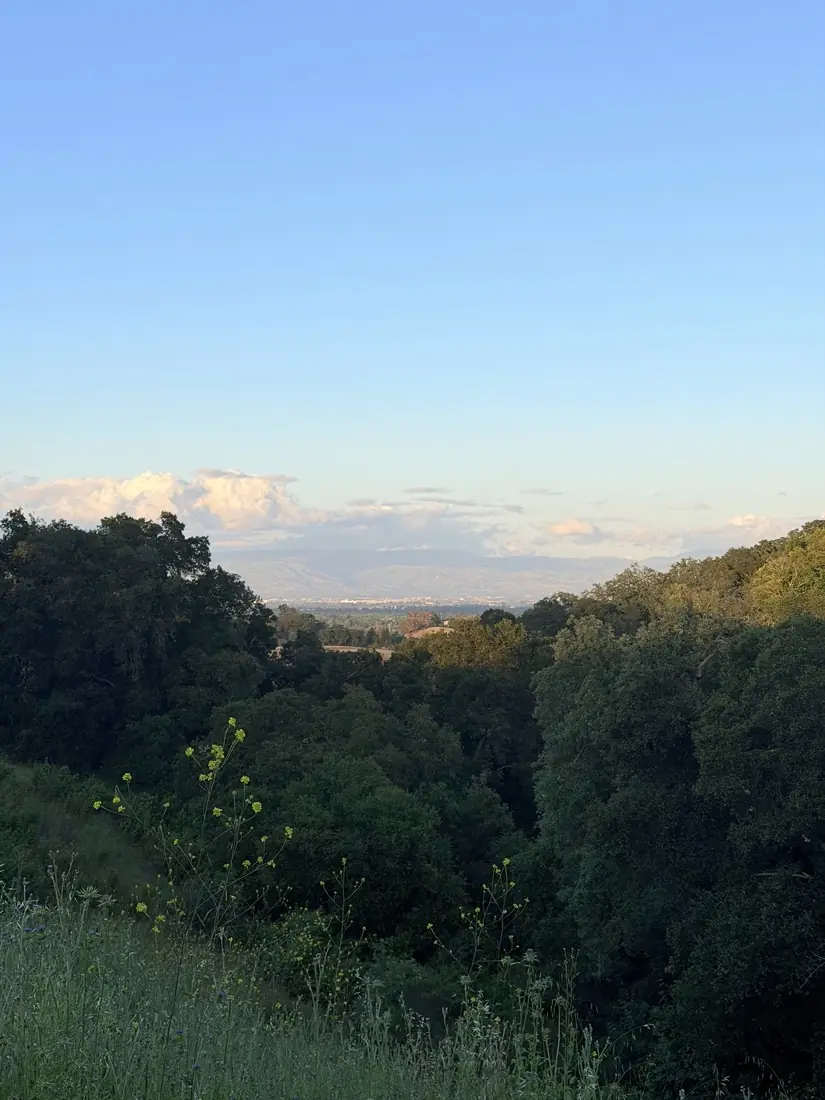 Weite Landschaft mit Himmel
